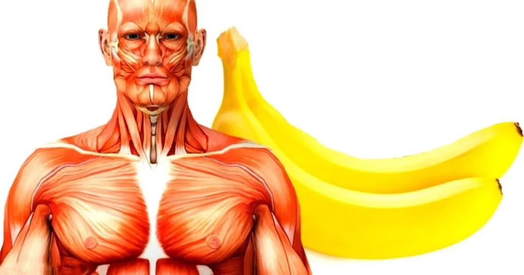 Choses arrivent à votre corps si vous mangez 2 bananes par jour